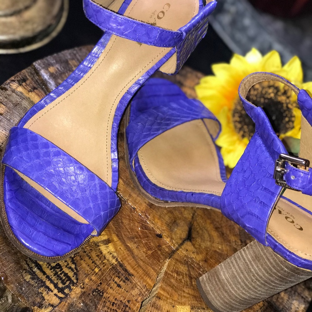 Coach shoes size  6 1/2 blue 👠